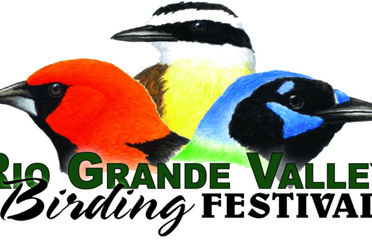 The 30th Annual Rio Grande Valley Birding Festival begins Wednesday